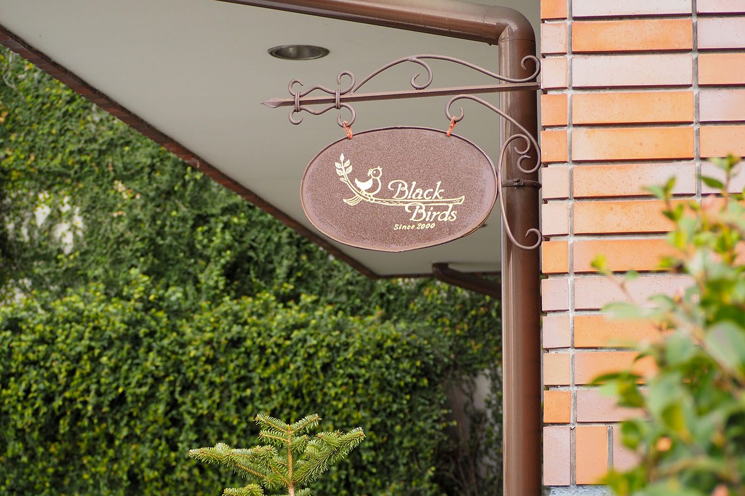 Black Birdsの看板